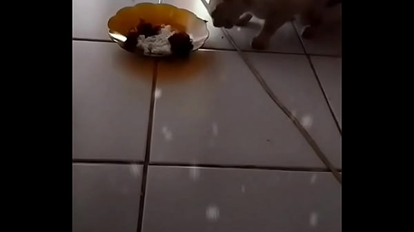 Anita Lagi Pengen Digoyang-goyang Malam Ini.